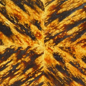 Tortoise Shell