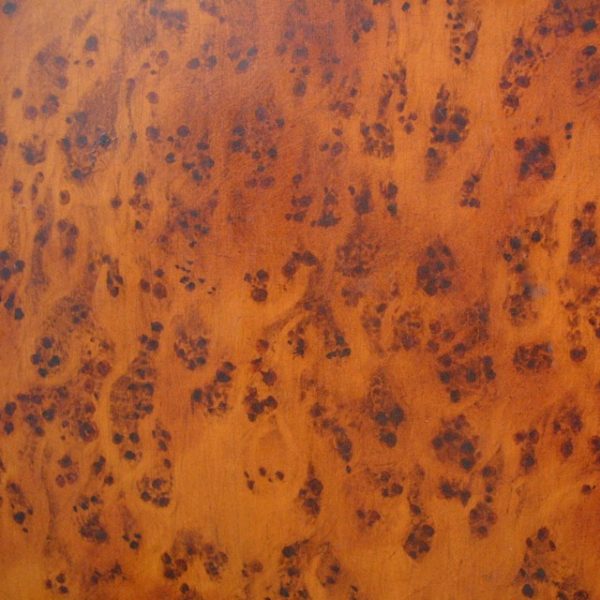 wood graining elm burl